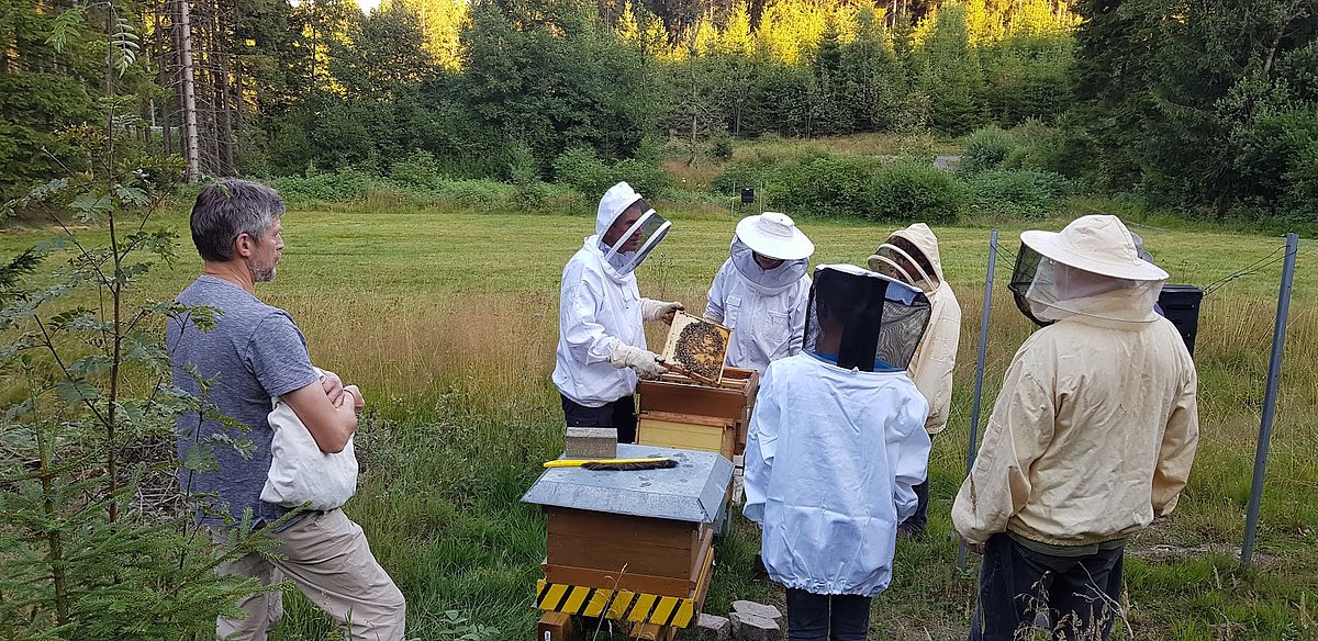 Eine Gruppe Imker begutachtet den Inhalt eines Bienenhauses
