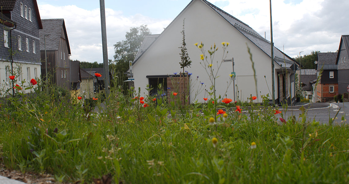 Der Fotograf hat durch hoch stehendes Gas mit Blumen das neue Dorfgemeinschaftshaus in Lauenhain fotografiert. 