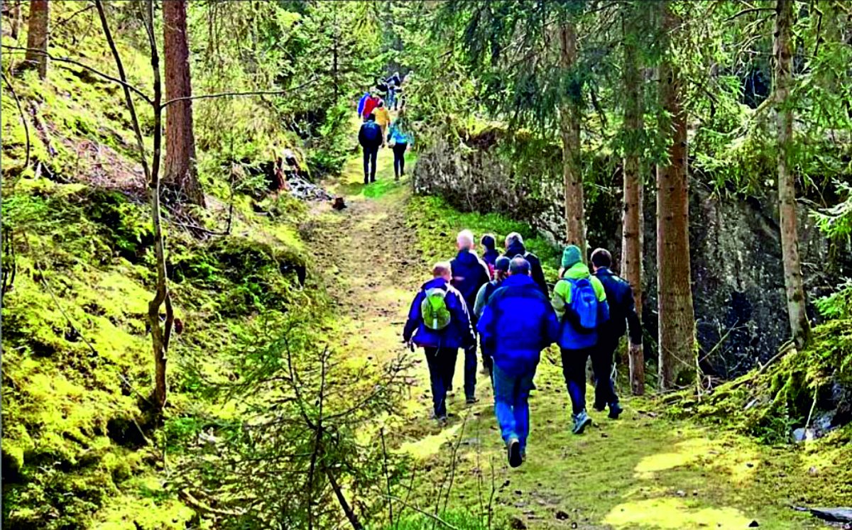 Ein Gruppe von Wanderern laufen auf einem mit Moos bewachsenen Steig umsäumt mit verschiedenen Bäumen und Farben.