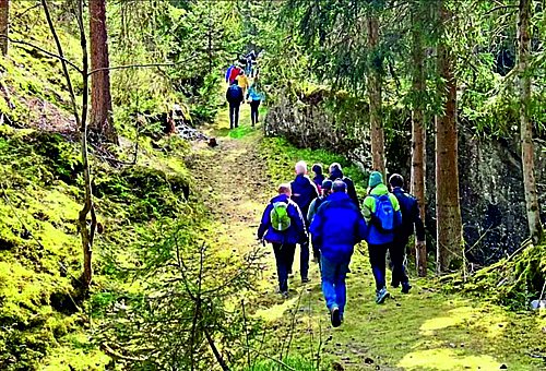 Ein Gruppe von Wanderern laufen auf einem mit Moos bewachsenen Steig umsäumt mit verschiedenen Bäumen und Farben.