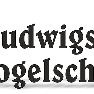 Zu sehen ist das Logo des Ludwigsstädter Vogelschießens. Links Engel Michael, der Stadtpatron mit dem Bratwurstglöcke und der Eisenbahnbrücke im Hintergrund.