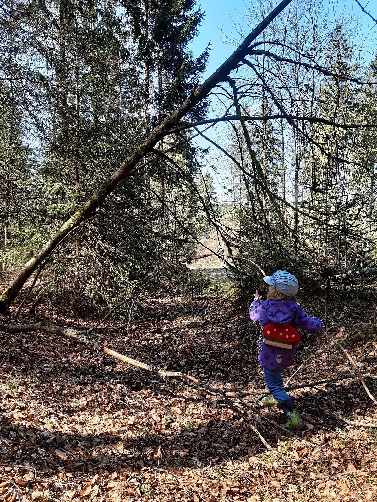 Gruppenraum für Waldkindergarten