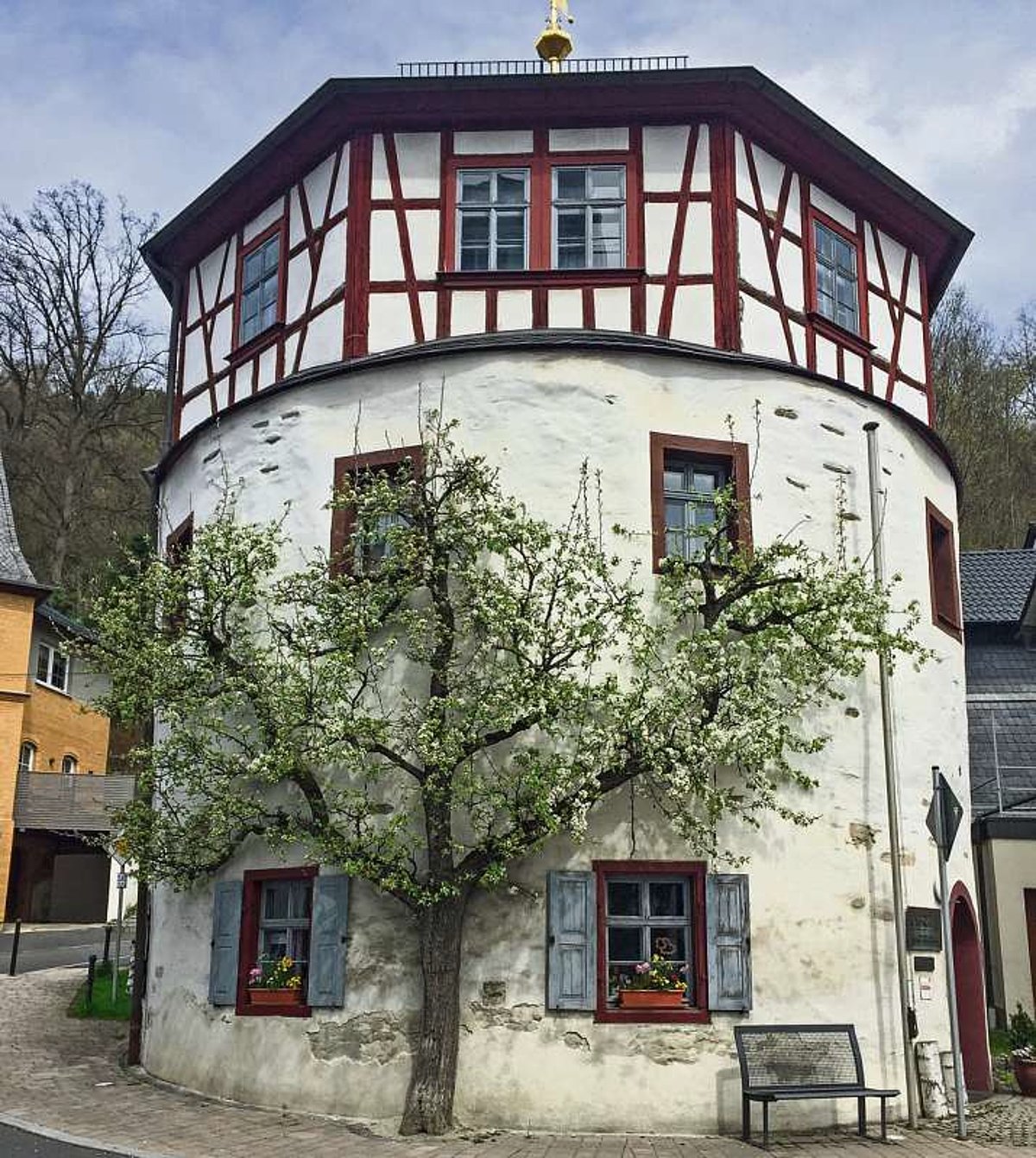 Zu sehen ist ein historischer Rundbau, der im oberen Bereich sichtbares Fachwerk aufweist. Im Vordergrund ist ein blühender Birnbaum zu sehen, der sich an das Gebäude schmiegt.
