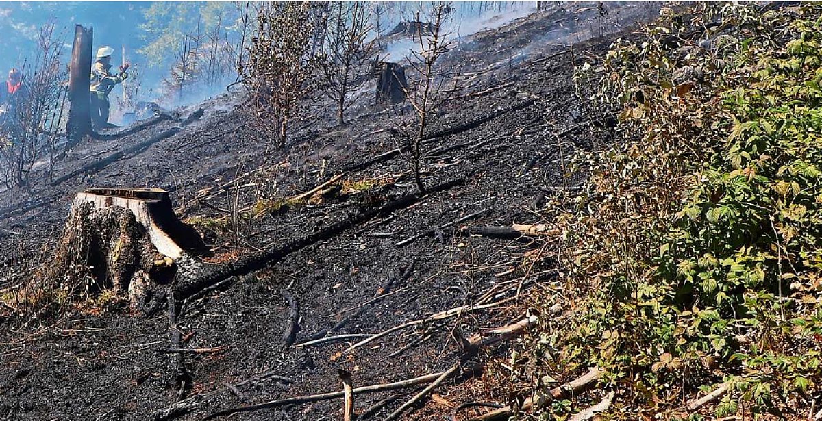Ein steiles Waldstück. Die meiste Fläche ist verbrannt. Im Hintergrund sind unscharf Feuerwehrleute zu erkennen.