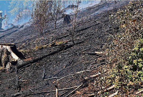 Ein steiles Waldstück. Die meiste Fläche ist verbrannt. Im Hintergrund sind unscharf Feuerwehrleute zu erkennen.
