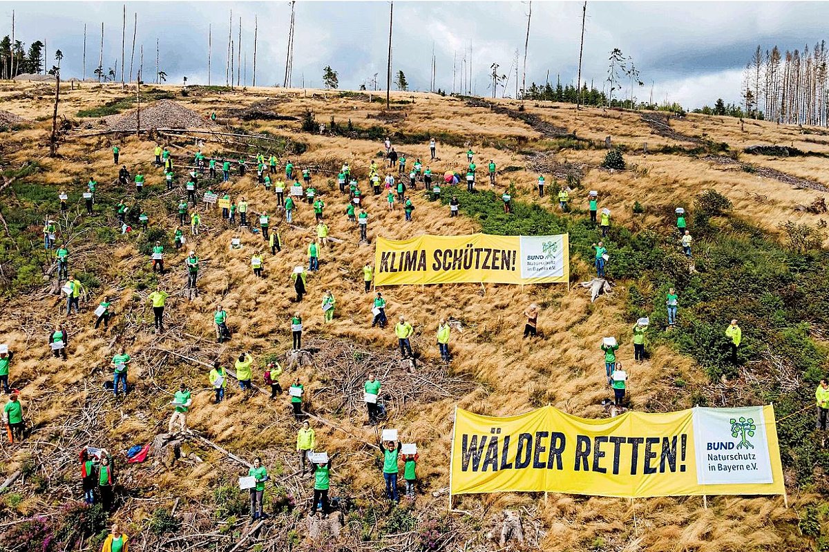 Das Foto zeigt viele Personen vom Bund Naturschutz verstreut auf einem kahlgeschlagenen Bergrücken mit Plakaten.