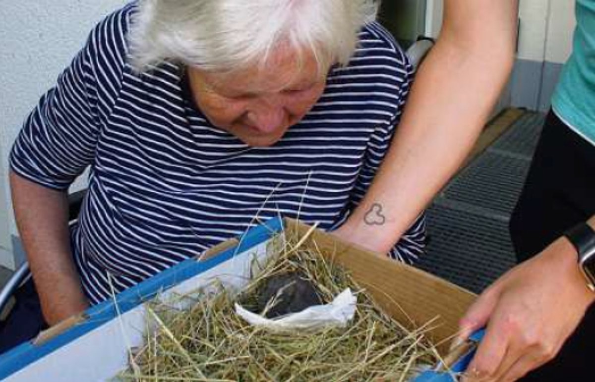 Eine Seniorin mit grauen Haaren schaut in einen Karton mit Stroh, die ihr jemand hin hält. Darin ist ein kleiner Vogel zu sehen.