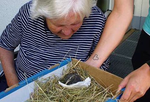 Eine Seniorin mit grauen Haaren schaut in einen Karton mit Stroh, die ihr jemand hin hält. Darin ist ein kleiner Vogel zu sehen.