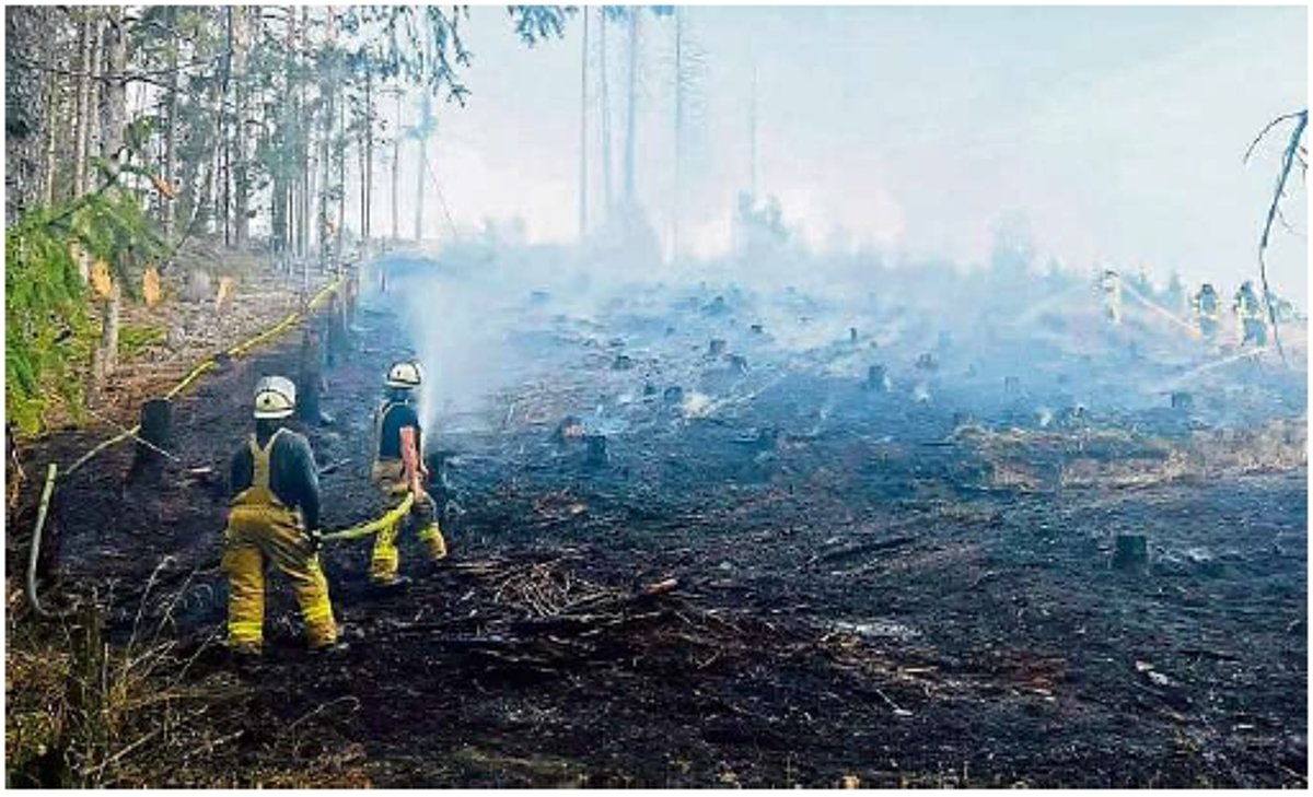 Ein Blick auf eine Waldfläche, die komplett abgebrannt ist. Es hängen Rauchschwaden über der Fläche. Am linken Bildrand stehen zwei Feuerwehrmänner in gelben Schützanzügen.