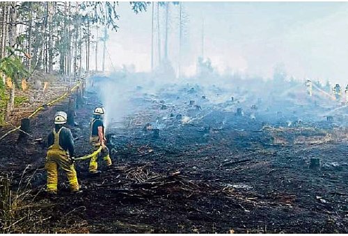 Ein Blick auf eine Waldfläche, die komplett abgebrannt ist. Es hängen Rauchschwaden über der Fläche. Am linken Bildrand stehen zwei Feuerwehrmänner in gelben Schützanzügen.