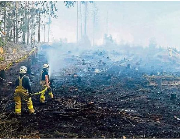 Ein Blick auf eine Waldfläche, die komplett abgebrannt ist. Es hängen Rauchschwaden über der Fläche. Am linken Bildrand stehen zwei Feuerwehrmänner in gelben Schützanzügen.